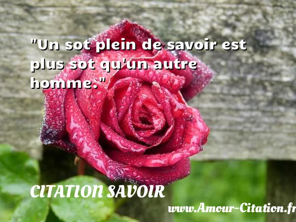 Un sot plein de savoir est plus sot qu un autre homme.  CITATION SAVOIR