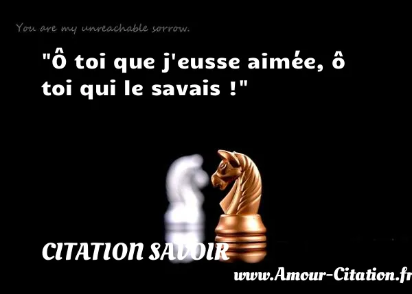 Ô toi que j eusse aimée, ô toi qui le savais !  CITATION SAVOIR