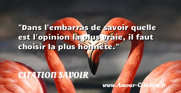 Dans l embarras de savoir quelle est l opinion la plus vraie, il faut choisir la plus honnête.  CITATION SAVOIR