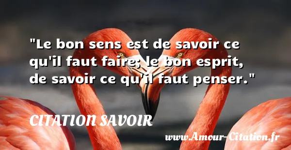 Le bon sens est de savoir ce qu il faut faire; le bon esprit, de savoir ce qu il faut penser.  CITATION SAVOIR