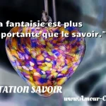  La fantaisie est plus importante que le savoir.  CITATION SAVOIR