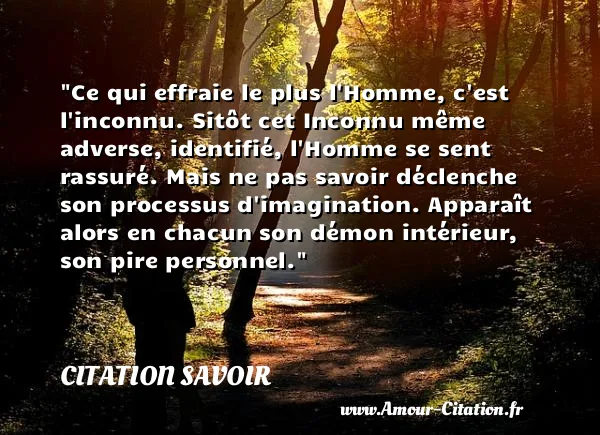 Ce qui effraie le plus l Homme, c est l inconnu. Sitôt cet Inconnu même adverse, identifié, l Homme se sent rassuré. Mais ne pas savoir déclenche son processus d imagination. Apparaît alors en chacun son démon intérieur, son pire personnel.  CITATION SAVOIR