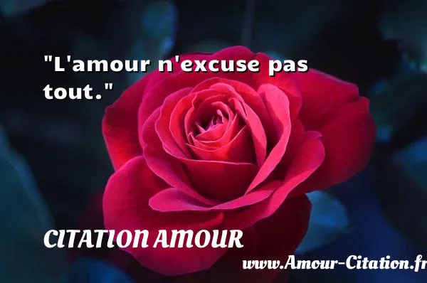 L amour n excuse pas tout.  CITATION AMOUR