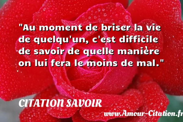 Au moment de briser la vie de quelqu un, c est difficile de savoir de quelle manière on lui fera le moins de mal.  CITATION SAVOIR
