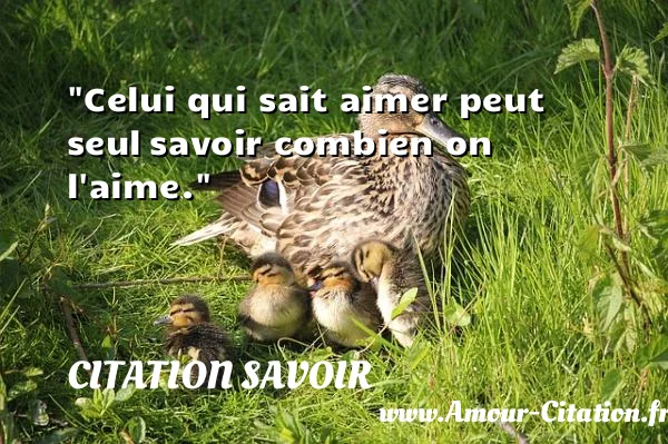 Celui qui sait aimer peut seul savoir combien on l aime. CITATION SAVOIR