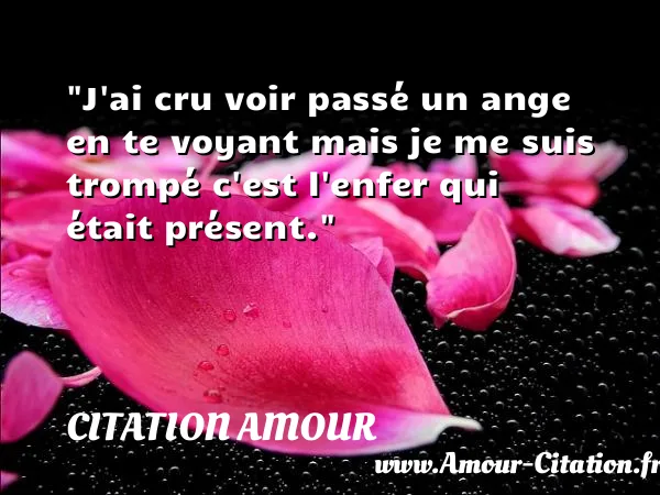 J ai cru voir passé un ange en te voyant mais je me suis trompé c est l enfer qui était présent.  CITATION AMOUR