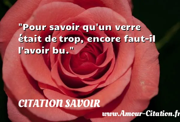 Pour savoir qu un verre était de trop, encore faut-il l avoir bu. CITATION SAVOIR