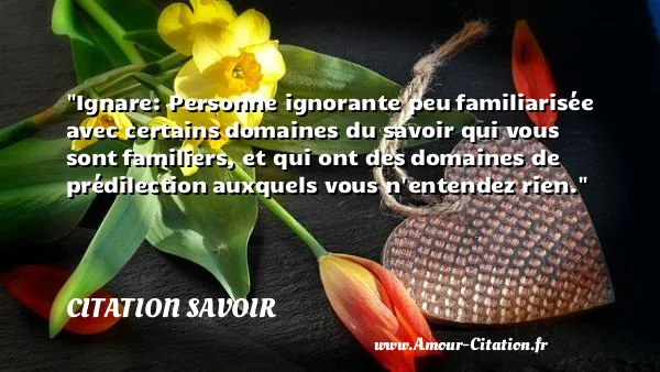 Ignare: Personne ignorante peu familiarisée avec certains domaines du savoir qui vous sont familiers, et qui ont des domaines de prédilection auxquels vous n entendez rien.  CITATION SAVOIR