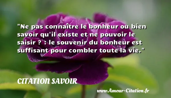 Ne pas connaître le bonheur ou bien savoir qu il existe et ne pouvoir le saisir ? : le souvenir du bonheur est suffisant pour combler toute la vie. CITATION SAVOIR