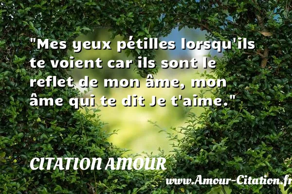 Mes yeux pétilles lorsqu ils te voient car ils sont le reflet de mon âme, mon âme qui te dit Je t aime.  CITATION AMOUR