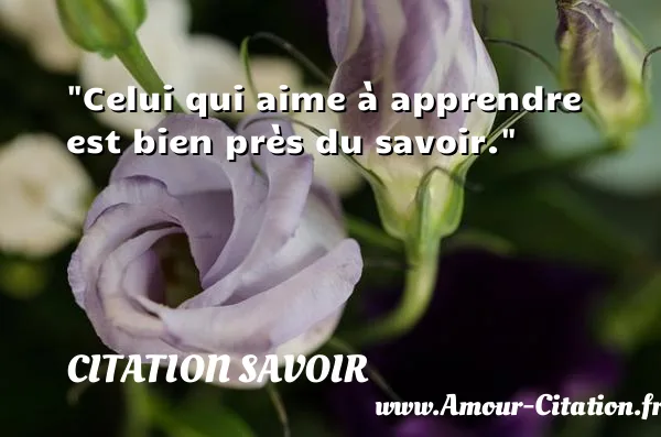 Celui qui aime à apprendre est bien près du savoir.  CITATION SAVOIR