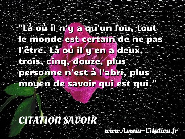 Là où il n y a qu un fou, tout le monde est certain de ne pas l être. Là où il y en a deux, trois, cinq, douze, plus personne n est à l abri, plus moyen de savoir qui est qui.  CITATION SAVOIR
