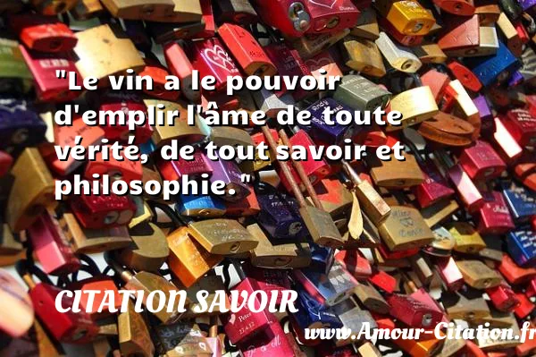 Le vin a le pouvoir d emplir l âme de toute vérité, de tout savoir et philosophie.  CITATION SAVOIR