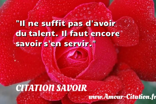 Il ne suffit pas d avoir du talent. Il faut encore savoir s en servir.  CITATION SAVOIR
