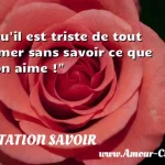  Qu il est triste de tout aimer sans savoir ce que l on aime !  CITATION SAVOIR