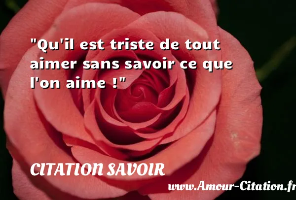 Qu il est triste de tout aimer sans savoir ce que l on aime !  CITATION SAVOIR
