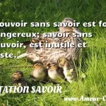  Pouvoir sans savoir est fort dangereux; savoir sans pouvoir, est inutile et triste.  CITATION SAVOIR