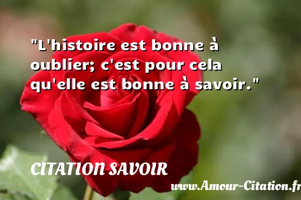 L histoire est bonne à oublier; c est pour cela qu elle est bonne à savoir.  CITATION SAVOIR