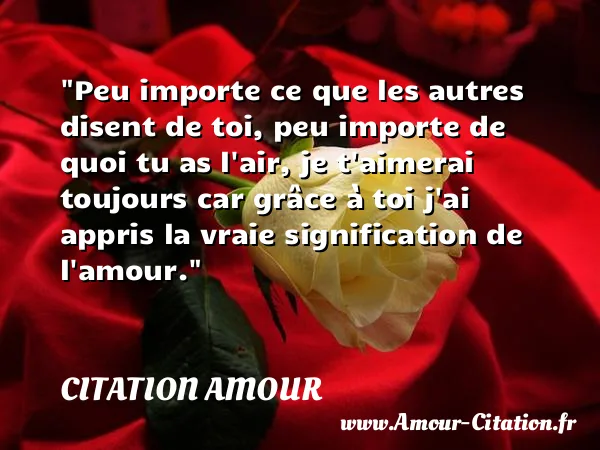 Peu importe ce que les autres disent de toi, peu importe de quoi tu as l air, je t aimerai toujours car grâce à toi j ai appris la vraie signification de l amour.  CITATION AMOUR