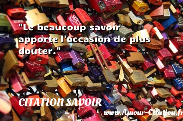 Le beaucoup savoir apporte l occasion de plus douter.  CITATION SAVOIR