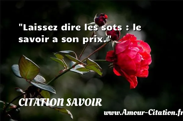 Laissez dire les sots : le savoir a son prix.  CITATION SAVOIR
