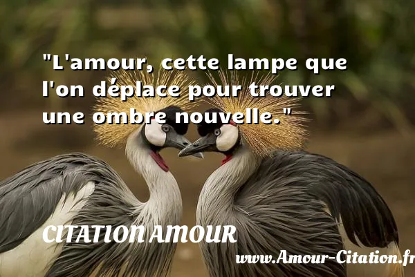 L amour, cette lampe que l on déplace pour trouver une ombre nouvelle.  CITATION AMOUR