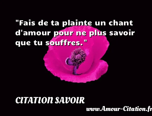 Fais de ta plainte un chant d amour pour ne plus savoir que tu souffres.  CITATION SAVOIR