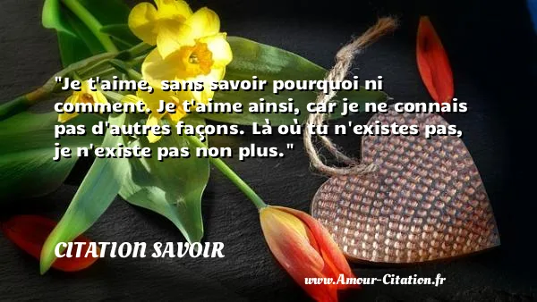Je t aime, sans savoir pourquoi ni comment. Je t aime ainsi, car je ne connais pas d autres façons. Là où tu n existes pas, je n existe pas non plus.  CITATION SAVOIR
