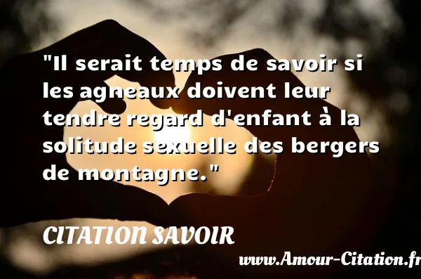 Il serait temps de savoir si les agneaux doivent leur tendre regard d enfant à la solitude sexuelle des bergers de montagne. CITATION SAVOIR