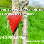  Nous savons haïr mais nous ne savons pas aimer.  CITATION SAVOIR