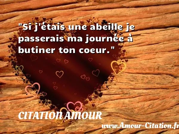 Si j étais une abeille je passerais ma journée à butiner ton coeur.  CITATION AMOUR