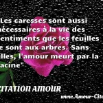  Les caresses sont aussi nécessaires à la vie des sentiments que les feuilles le sont aux arbres. Sans elles, l amour meurt par la racine  CITATION AMOUR