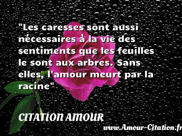 Les caresses sont aussi nécessaires à la vie des sentiments que les feuilles le sont aux arbres. Sans elles, l amour meurt par la racine  CITATION AMOUR