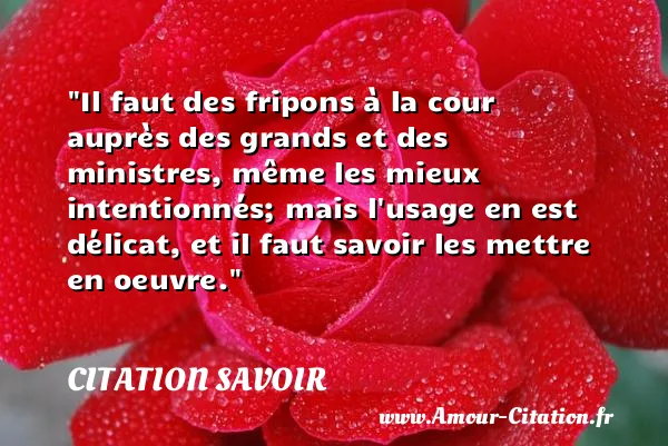 Il faut des fripons à la cour auprès des grands et des ministres, même les mieux intentionnés; mais l usage en est délicat, et il faut savoir les mettre en oeuvre.  CITATION SAVOIR