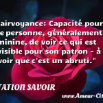  Clairvoyance: Capacité pour une personne, généralement féminine, de voir ce qui est invisible pour son patron - à savoir que c est un abruti.  CITATION SAVOIR
