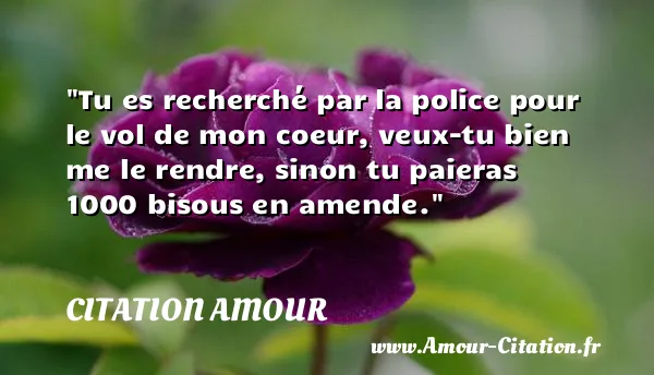 Tu es recherché par la police pour le vol de mon coeur, veux-tu bien me le rendre, sinon tu paieras 1000 bisous en amende.  CITATION AMOUR