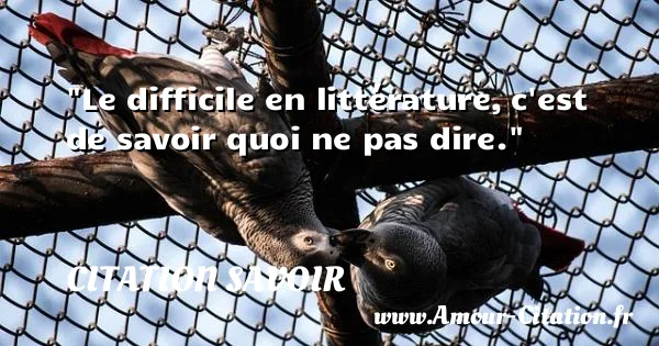 Le difficile en littérature, c est de savoir quoi ne pas dire. CITATION SAVOIR
