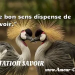  Le bon sens dispense de savoir.  CITATION SAVOIR