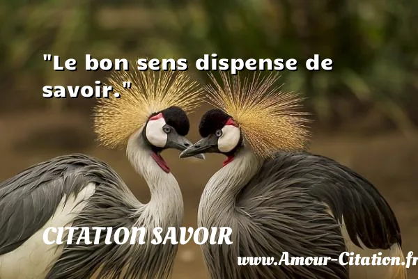 Le bon sens dispense de savoir.  CITATION SAVOIR