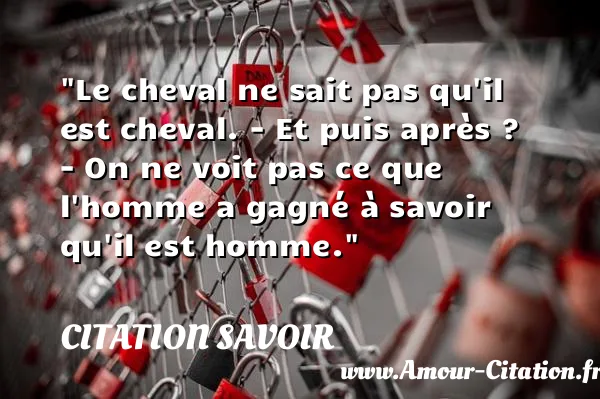 Le cheval ne sait pas qu il est cheval. - Et puis après ? - On ne voit pas ce que l homme a gagné à savoir qu il est homme.  CITATION SAVOIR
