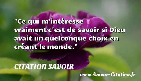 Ce qui m intéresse vraiment c est de savoir si Dieu avait un quelconque choix en créant le monde. CITATION SAVOIR