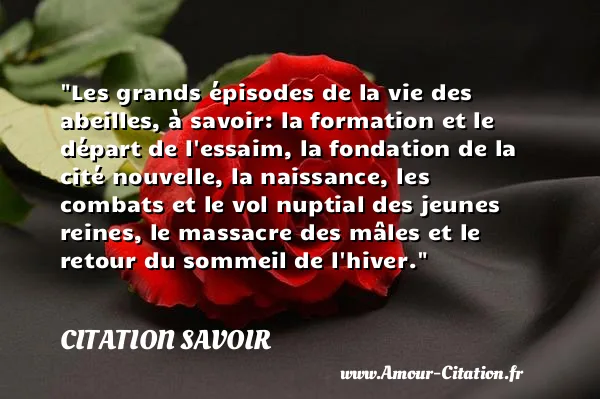 Les grands épisodes de la vie des abeilles, à savoir: la formation et le départ de l essaim, la fondation de la cité nouvelle, la naissance, les combats et le vol nuptial des jeunes reines, le massacre des mâles et le retour du sommeil de l hiver. CITATION SAVOIR