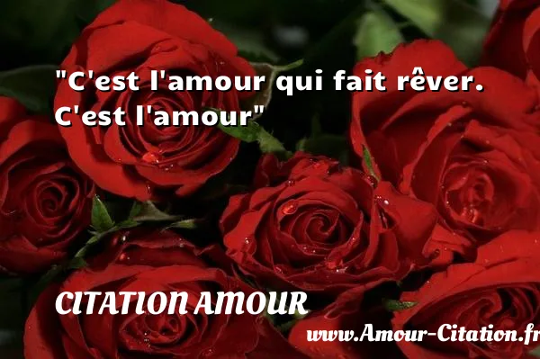 C est l amour qui fait rêver. C est l amour  CITATION AMOUR