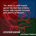  Et, dans ce vain savoir qu on va chercher si loin, - On ne sait comme va mon pot, dont j ai besoin.  CITATION SAVOIR
