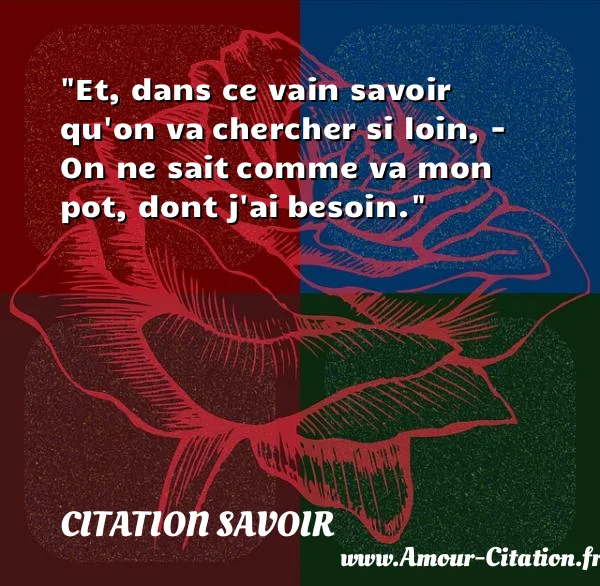 Et, dans ce vain savoir qu on va chercher si loin, - On ne sait comme va mon pot, dont j ai besoin.  CITATION SAVOIR