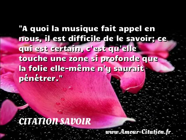 A quoi la musique fait appel en nous, il est difficile de le savoir; ce qui est certain, c est qu elle touche une zone si profonde que la folie elle-même n y saurait pénétrer.  CITATION SAVOIR