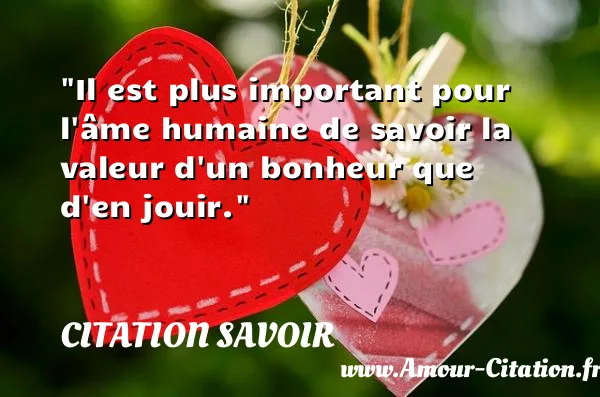 Il est plus important pour l âme humaine de savoir la valeur d un bonheur que d en jouir. CITATION SAVOIR