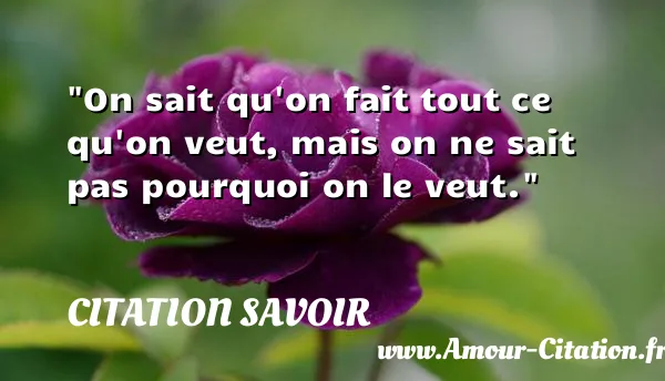 On sait qu on fait tout ce qu on veut, mais on ne sait pas pourquoi on le veut. CITATION SAVOIR