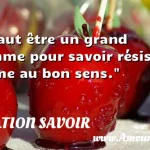  Il faut être un grand homme pour savoir résister même au bon sens.  CITATION SAVOIR