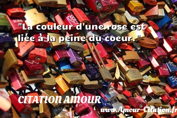 La couleur d une rose est liée à la peine du coeur.  CITATION AMOUR